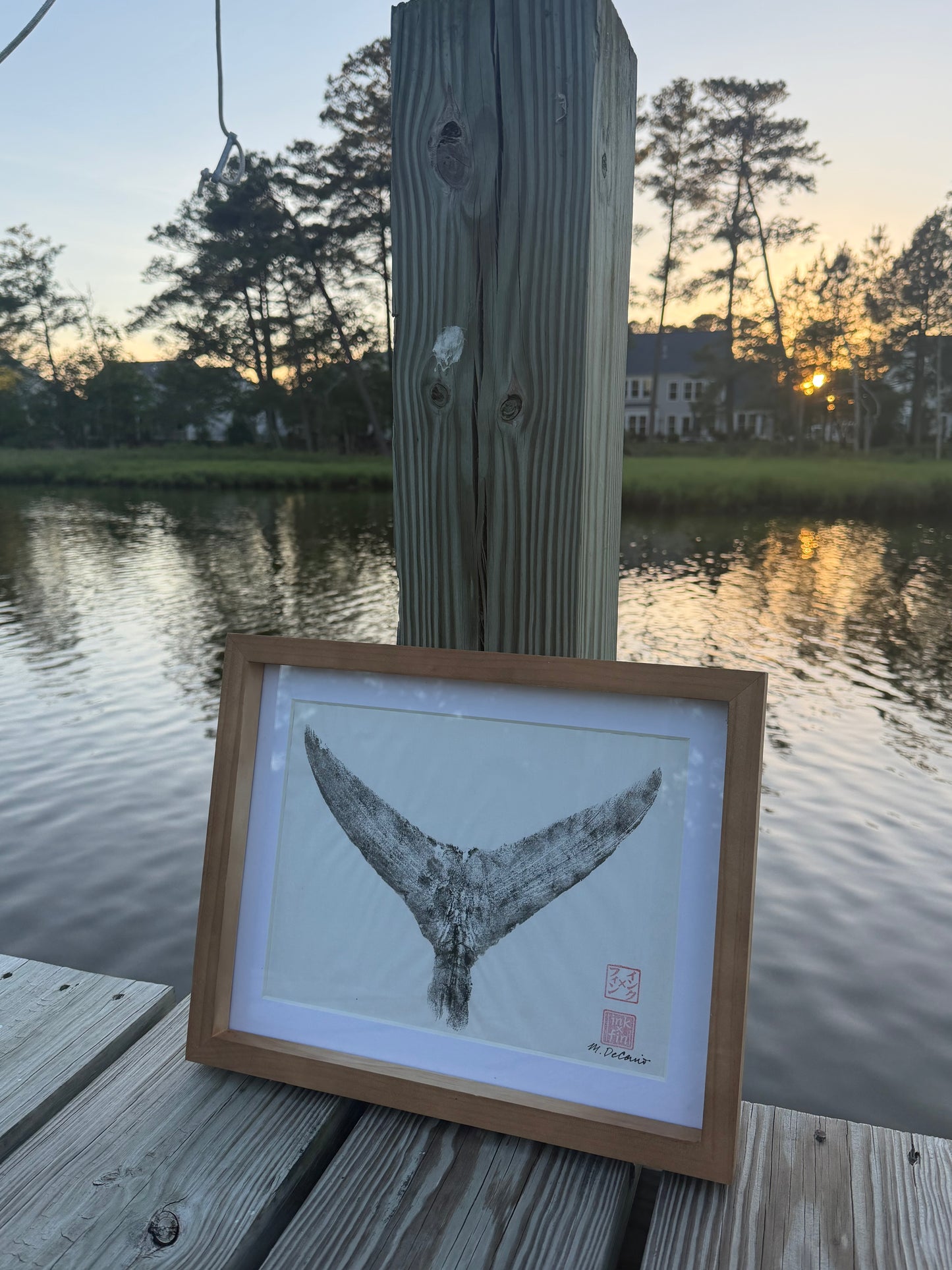 9x12 Tuna Tail