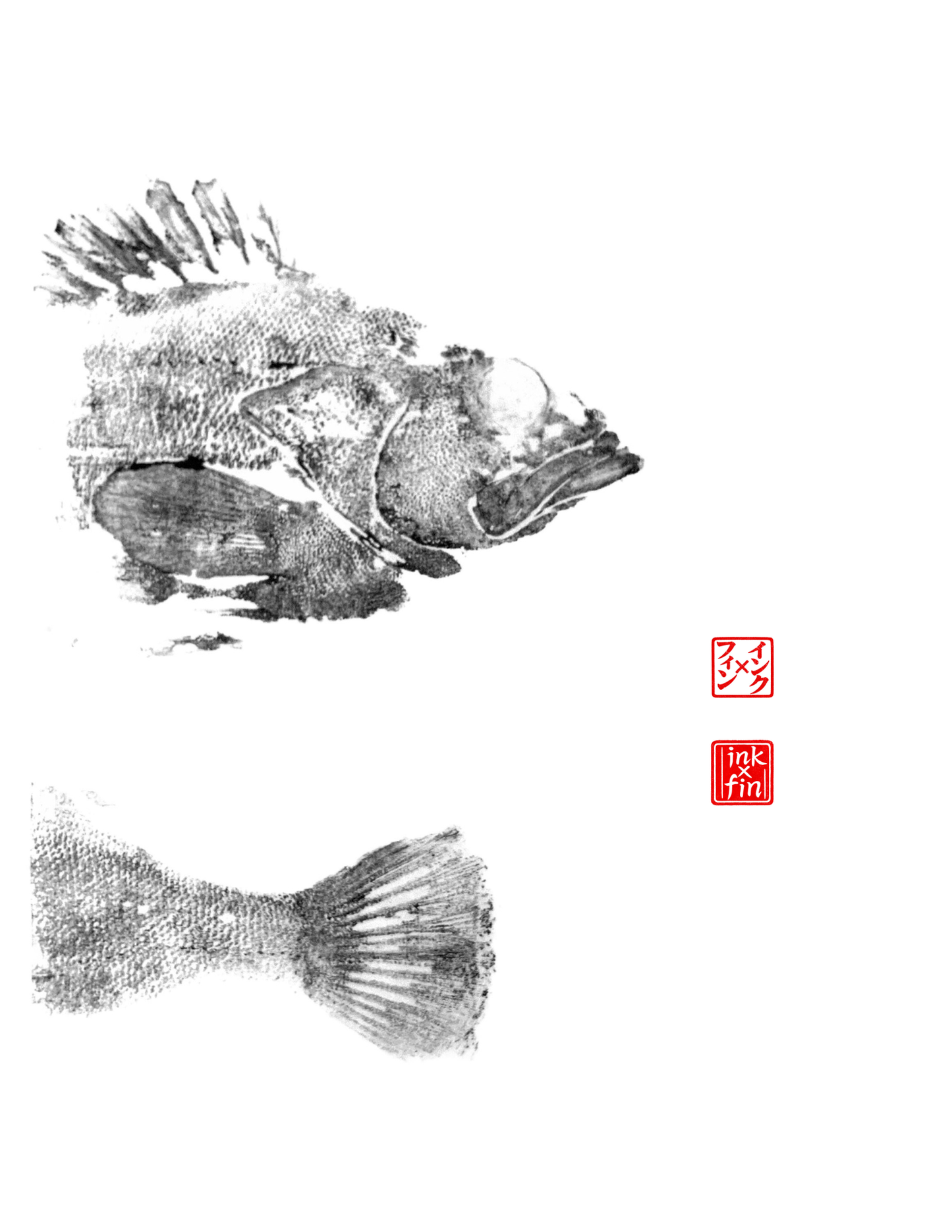 Grouper Print