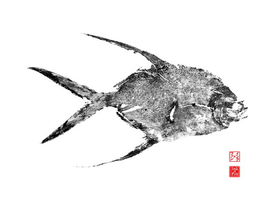Pompano Print