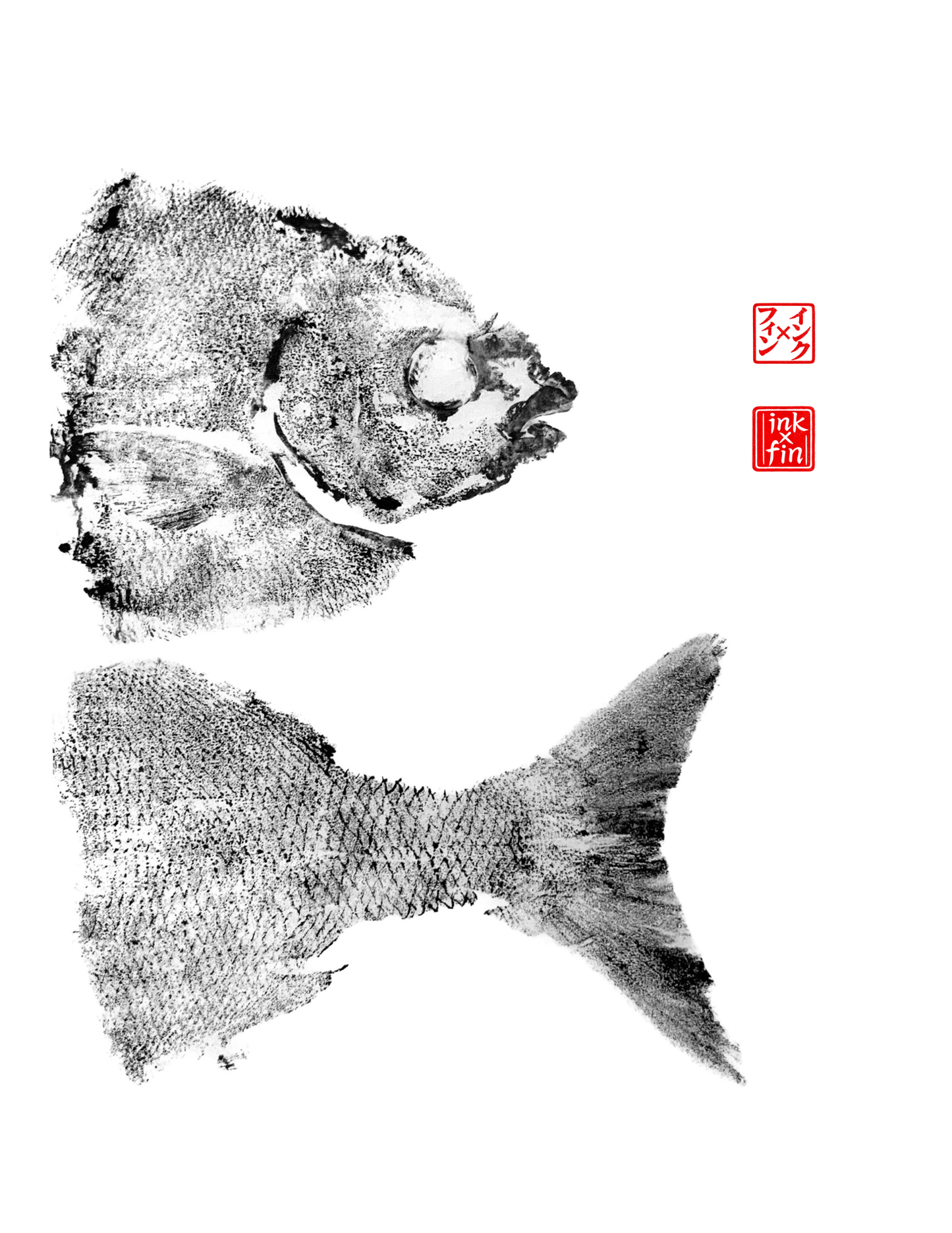 Chubb Print