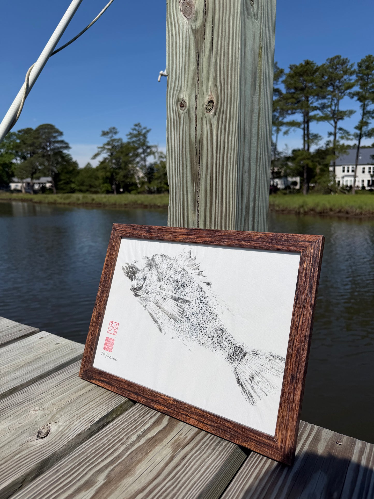 Framed Sea Bass Original