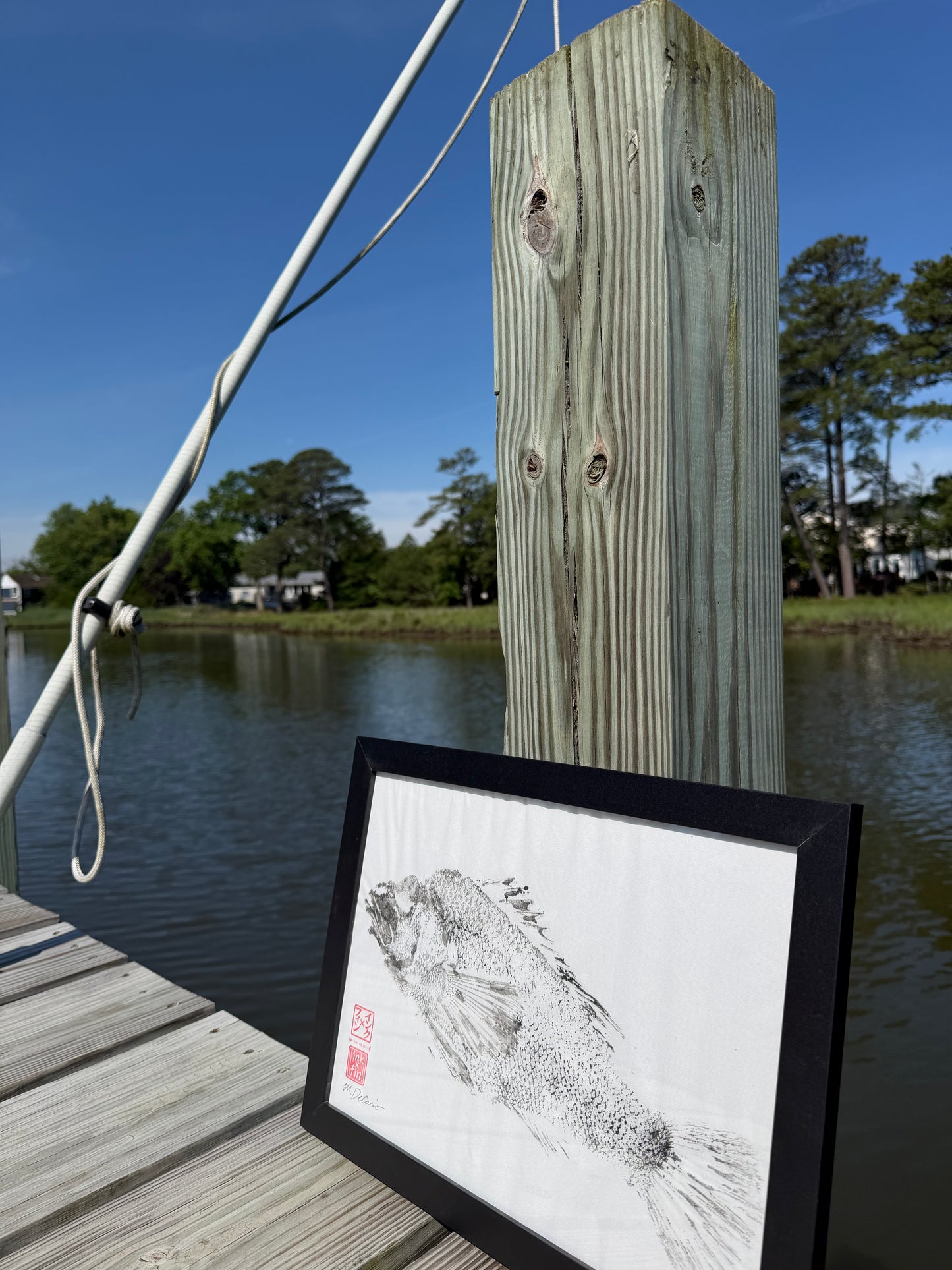 Framed Sea Bass Original